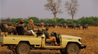 British tourist who was killed alongside her pal by an elephant 'had been on a sunrise safari walk' when mammal with calf charged at group at full speed