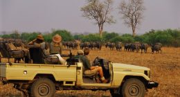 British tourist who was killed alongside her pal by an elephant 'had been on a sunrise safari walk' when mammal with calf charged at group at full speed