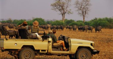 British tourist who was killed alongside her pal by an elephant 'had been on a sunrise safari walk' when mammal with calf charged at group at full speed
