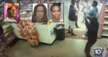 Brother murdered man and sister drove getaway car: Police