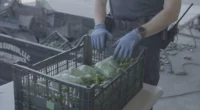 CBP Finds $31 Million of Meth in a Load of Chili Peppers [Exclusive Clip] 