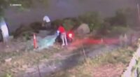 CBP officer shot Washington Heights: 2 undocumented migrants in custody after shooting of Border Patrol agent in NYC park