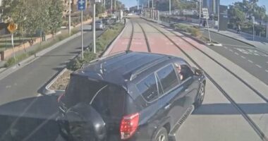 There ﻿have been 11 collisions between trams and vehicles as well as dozens of near misses since the line opened seven months ago.