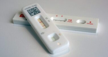 COVID cases rising in 25 states, but nationwide activity 'low': CDC