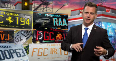 Can you change the color of your Florida license plate? 