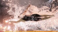 Case of 'acute gastroenteritis' damages performance of US team at world swimming