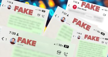 Celebrity Crypto Cons: Chicago-area man Richard Lyons loses $10K to cryptocurrency scam by Elon Musk impersonator