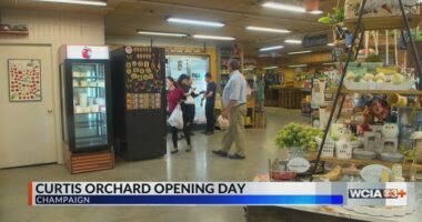 Champaign Co. attraction opening for the 48th season