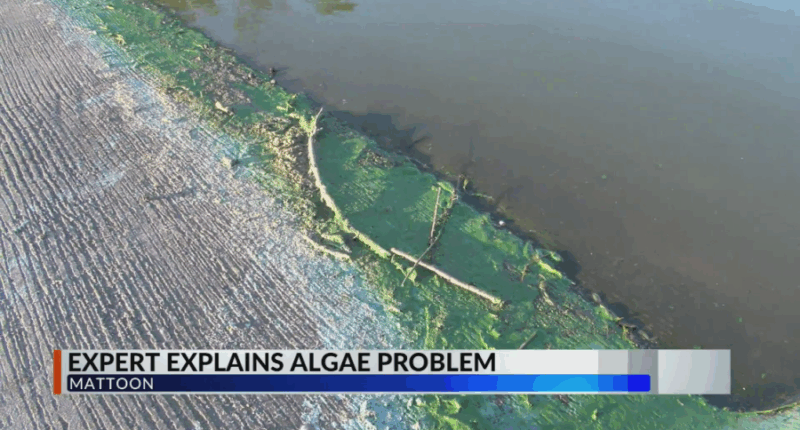 Champaign Water Policy Director provides insight into algae bloom issue in Mattoon