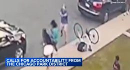 Charles Leto, lifeguard charged in Douglass Park, Chicago shooting of Marjay Dotson, Jeremy Herred, resigns: Chicago Park District