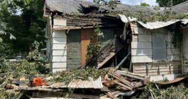 Charleston home damaged by tree