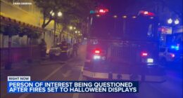 Chicago Halloween crime: Mario Munoz pleads guilty, sentenced in an arson investigation involving decorations in 2023