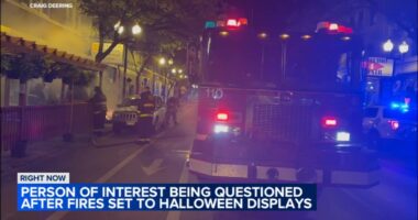 Chicago Halloween crime: Mario Munoz pleads guilty, sentenced in an arson investigation involving decorations in 2023