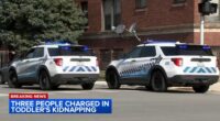 Chicago crime: Angelique Mobley, Lamon Weathers, Matthew Price charged in kidnapping of 2-year-old girl in Bronzeville, police say