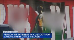Chicago man Philip Dominguez faces hate crime, criminal damage to property charges in Little Village vandalism case: CPD