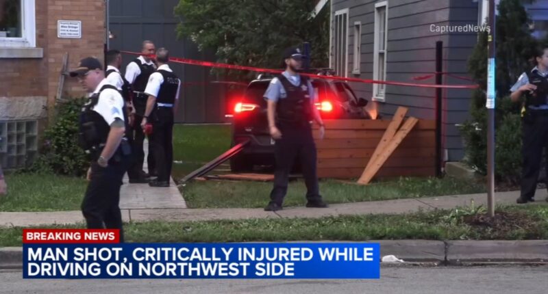 Chicago shooting: Man shot, critically injured while driving on North Kimball Avenue in Avondale, crashes into home, police say