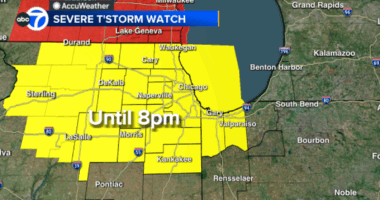Chicago weather forecast today includes storms, Severe Thunderstorm Watch for area | Radar