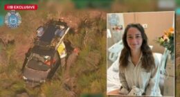 Carolina Wilga's now-famous Mitsubishi Delica has been moveed after its mammoth misadventure.
