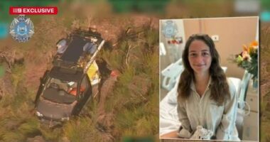 Carolina Wilga's now-famous Mitsubishi Delica has been moveed after its mammoth misadventure.