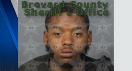 Convicted felon arrested after high-speed chase, crash on I-95 in Brevard County, troopers say