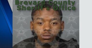 Convicted felon arrested after high-speed chase, crash on I-95 in Brevard County, troopers say
