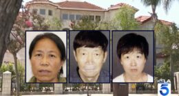 Couple accused of neglect allegedly ran surrogacy agency
