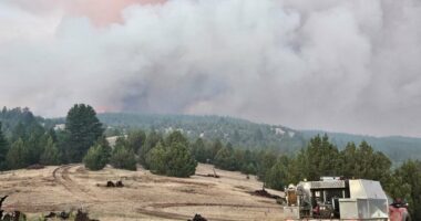 Cram Fire reaches 73% containment, currently largest wildfire in US