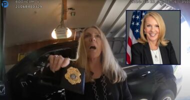 DA who drove home during traffic stop is publicly censured