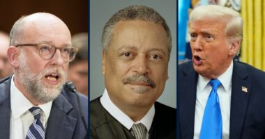 DC Circuit halts Judge Emmet Sullivan's ruling against Trump