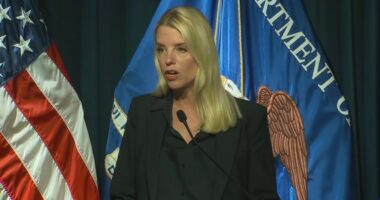 DOJ, DEA announce large drug busts in joint task force