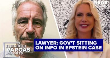 DOJ, FBI sitting on 'treasure trove' of Epstein information: Attorney