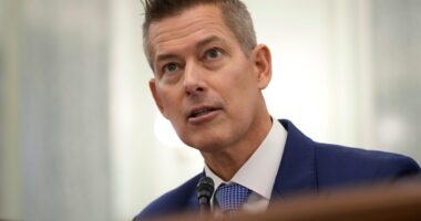 DOT chief Sean Duffy 'concerned' about aviation near-misses