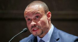 Dan Bongino fumes over Justice Department handling of Epstein files