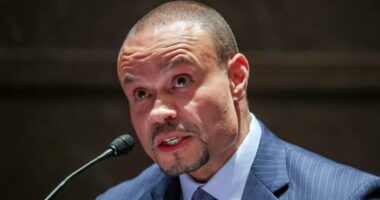 Dan Bongino fumes over Justice Department handling of Epstein files