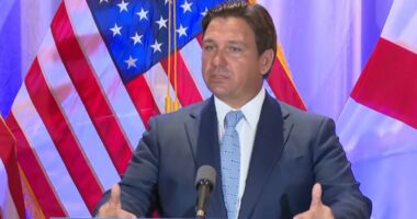DeSantis: Camp Blanding ICE facility on hold until Alligator Alcatraz fills up