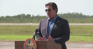 DeSantis: Deportation flights have started taking off from 'Alligator Alcatraz'