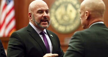 DeSantis appoints Sen. Blaise Ingoglia as new Florida CFO