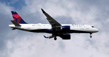 Delta pilot arrested after landing at California airport charged in child sex abuse case