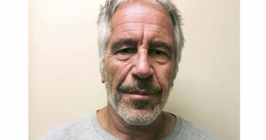 Democrats call for more Epstein evidence