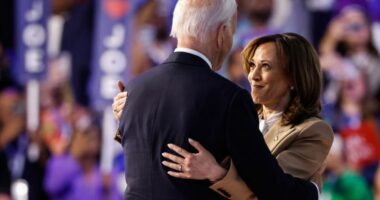 Democrats reflect, regroup year after Biden reelection withdrawal