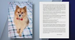 Dog dies over alleged air conditioning failure at apartment: Family