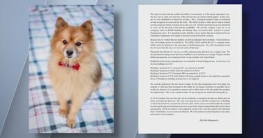 Dog dies over alleged air conditioning failure at apartment: Family