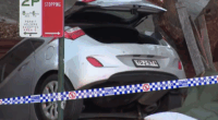 A pet dog has been killed after a car crashed and flew into a backyard in Sydney's inner city.