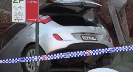A pet dog has been killed after a car crashed and flew into a backyard in Sydney's inner city.