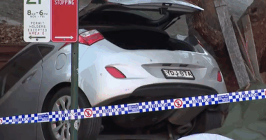 A pet dog has been killed after a car crashed and flew into a backyard in Sydney's inner city.
