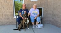 Dog tied to pole finds forever home nearly 2 weeks later