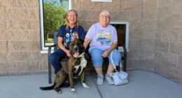 Dog tied to pole finds forever home nearly 2 weeks later
