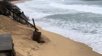 Images taken at Wamberal Beach on Tuesday morning.