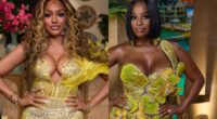 RHOA Star Drew Sidora Posts Receipts to Dispel Shamea Morton