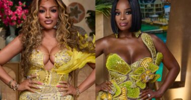 RHOA Star Drew Sidora Posts Receipts to Dispel Shamea Morton